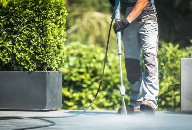 Best Restaurant Pressure Washing  in Lucedale, MS